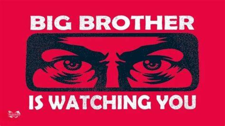 big-brother-2